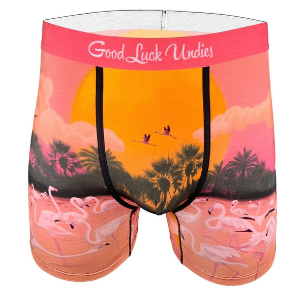 Good Luck, Boxer Brief